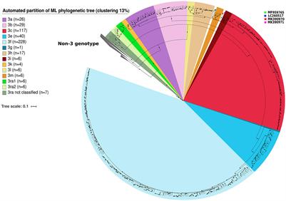 Classification of the Zoonotic Hepatitis E Virus Genotype 3 Into Distinct Subgenotypes